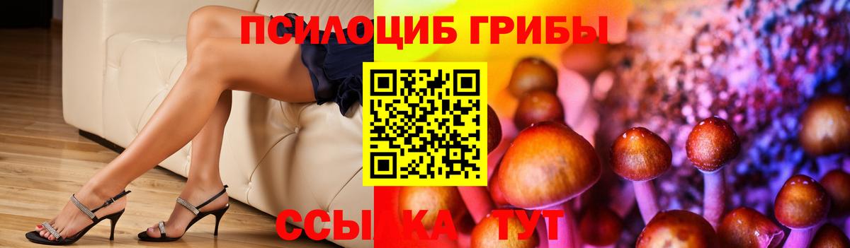 Псилоцибиновые грибы Magic Shrooms  Вход с VPN  Хасавюрт 